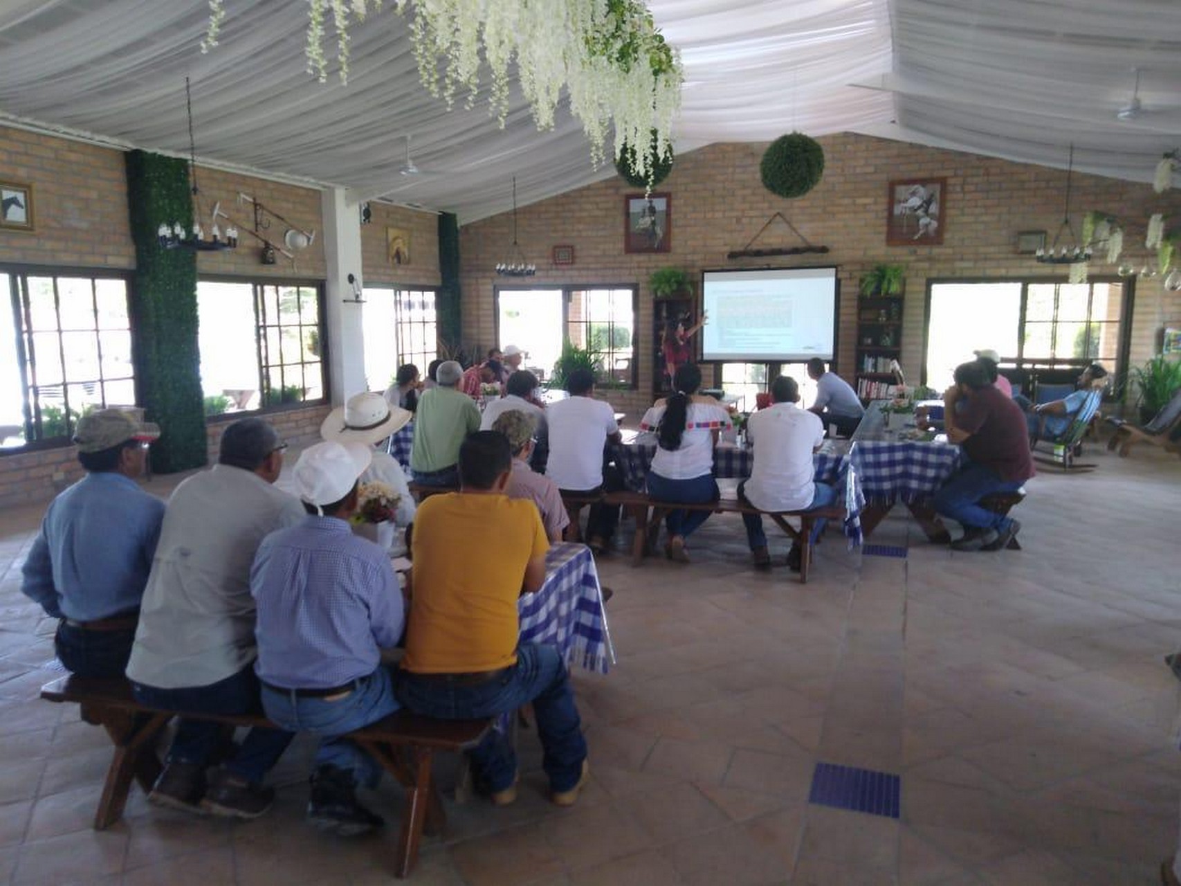 curso
