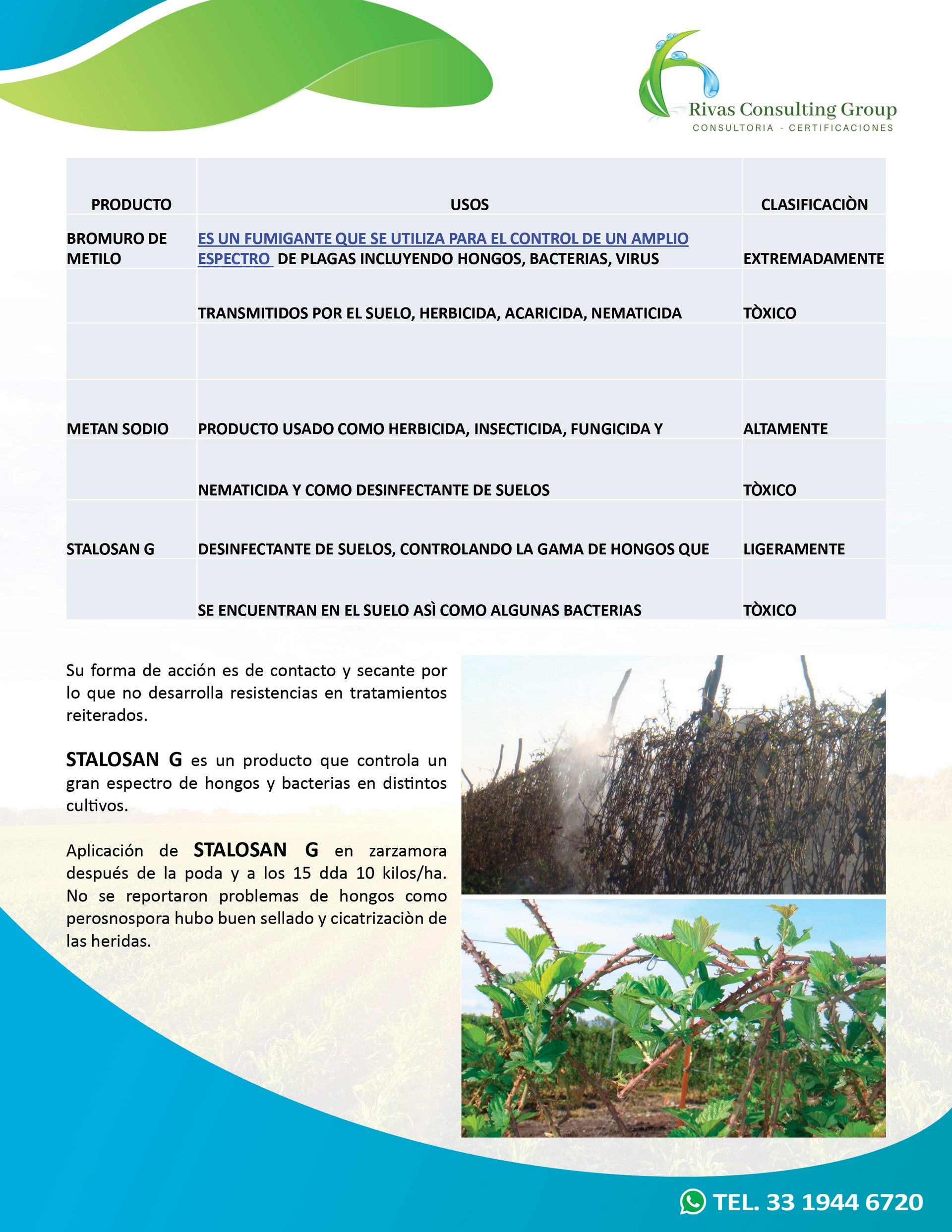 Productos Orgánicos-pagina 09