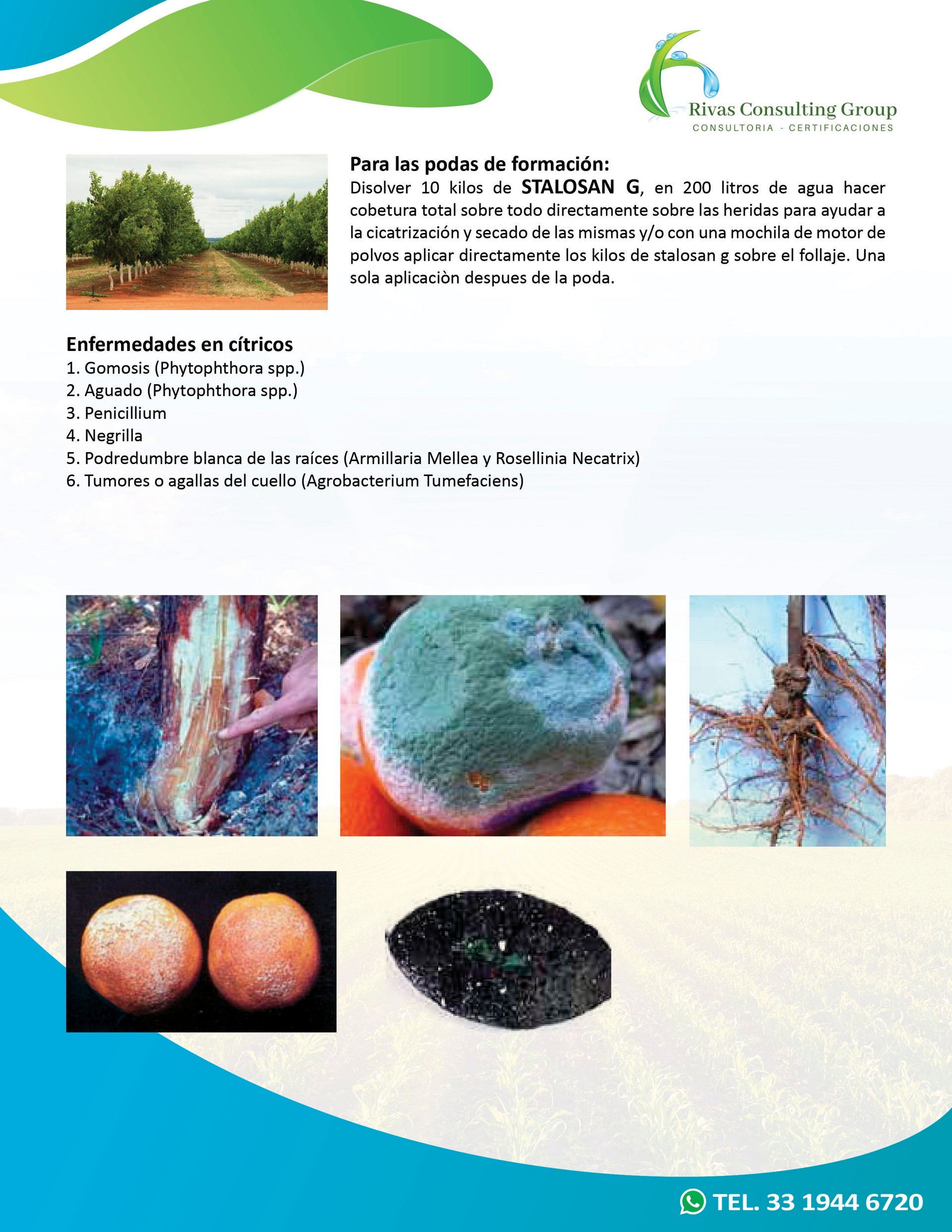 Productos Orgánicos-pagina 11