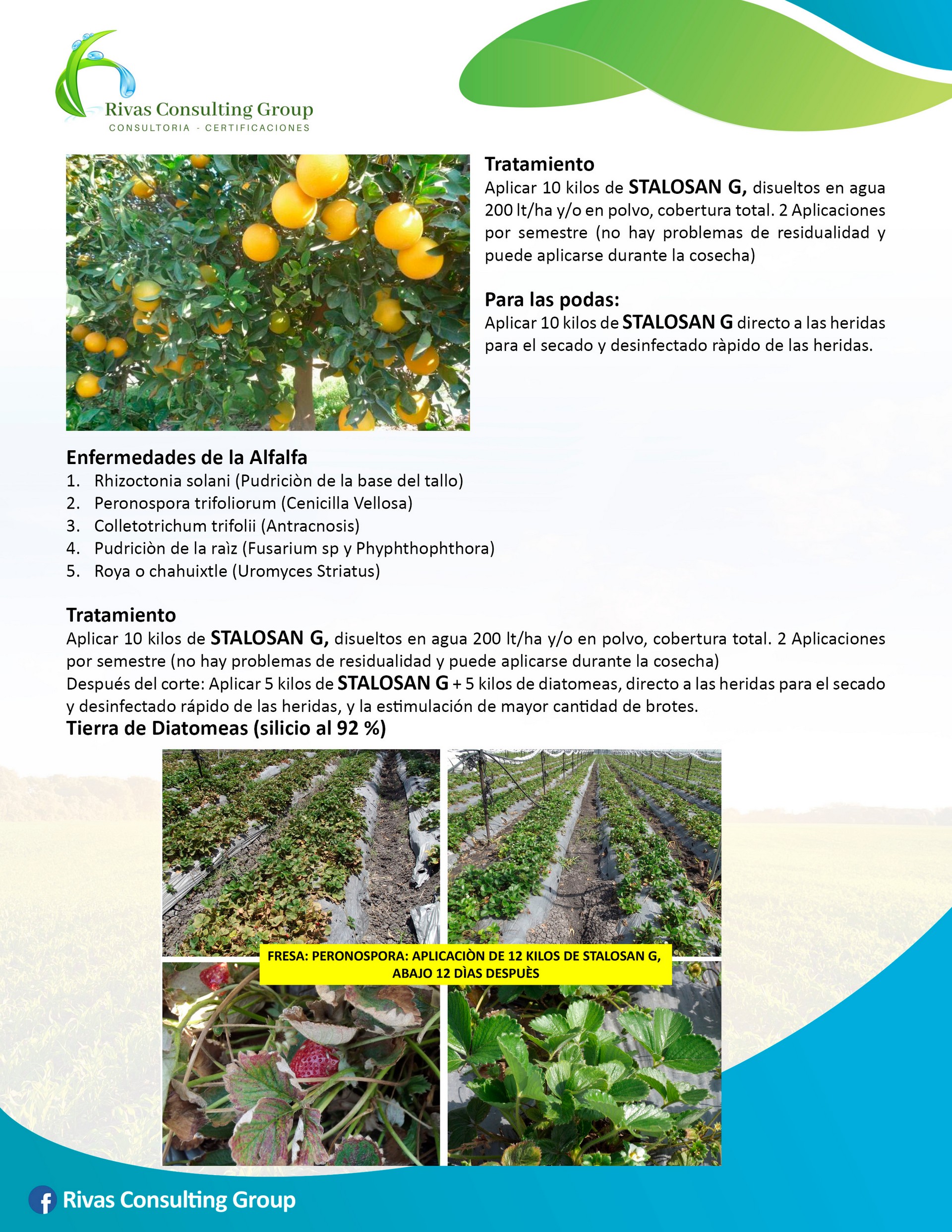 Productos Orgánicos-pagina 12