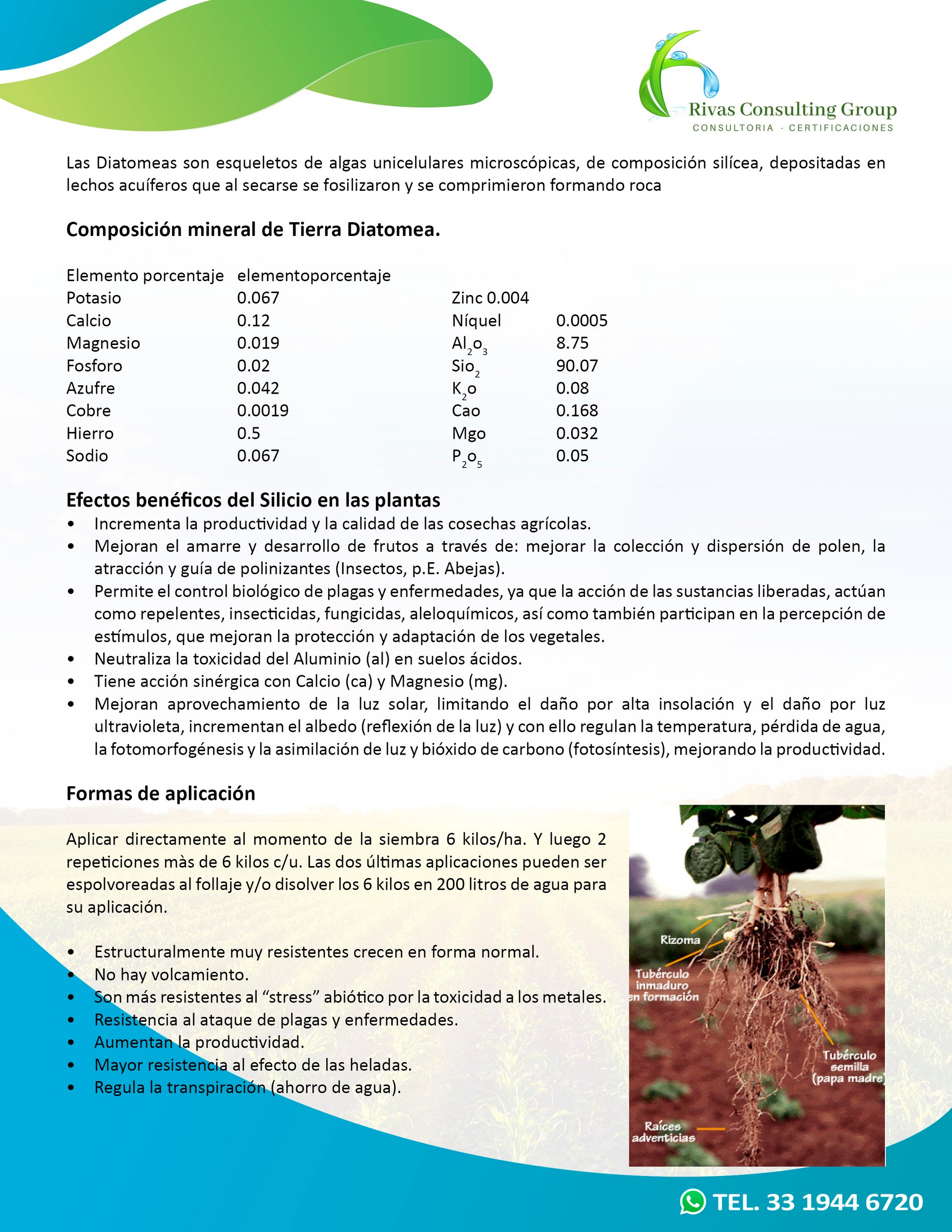 Productos Orgánicos-pagina 13