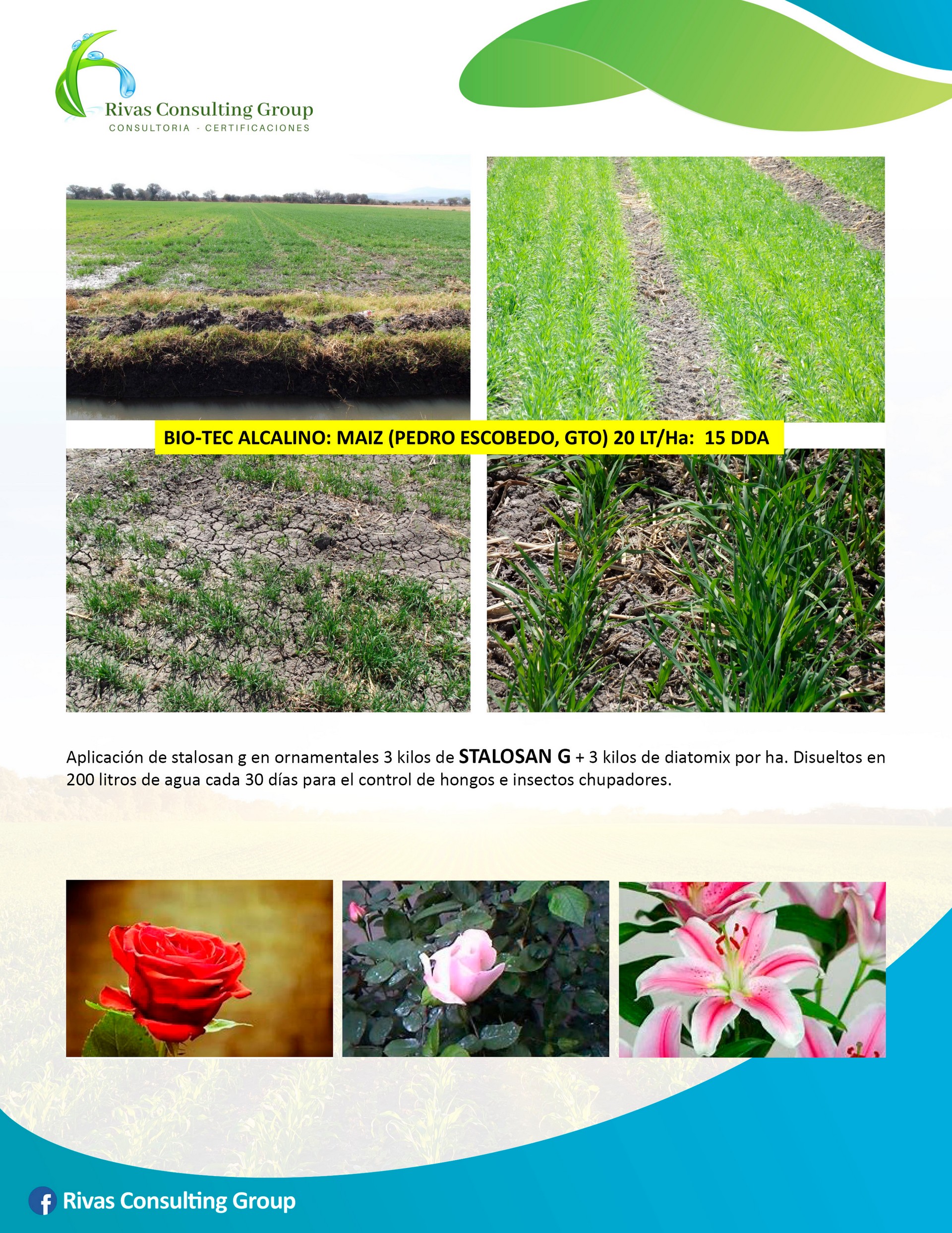 Productos Orgánicos-pagina 14